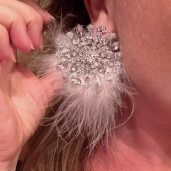 Statement Makers Rhinestone & Feather Decor Stud Earrings silver - Picture 4 of 10